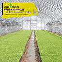 【8/1限定 最大ポイント6倍 エントリー必須】サンホープ SUNHOPE 散水亭 半円楽MP2000仕様 ハウス間口5.4mx48mハウス1棟分 法人様限定