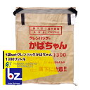 田中産業｜＜5枚セット＞穀類輸送袋 グレンバッグかばちゃん　1300リットル｜法人様限定