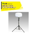 和コーポレーション KAZ LEDバルーンライト 輝夜50W BL-50-F