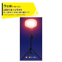 和コーポレーション KAZ LEDバルーンライト オーロラ輝夜50W BL-50RW-F