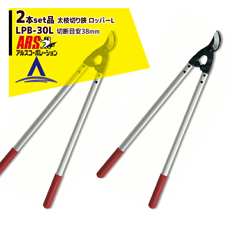 륹ݥ졼ARS 2ܥåʡLPB-30L ڤ åѡL