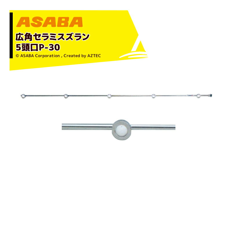 ڥѡSALEʡ̸ꡪasaba ѡϥߥ ѥߥ 5ƬP-30G1/4 450039730