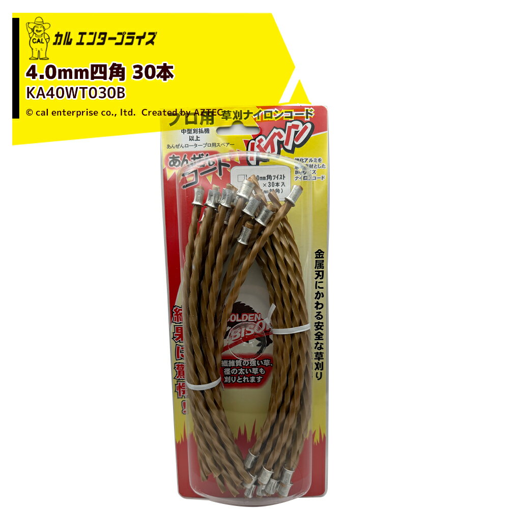 Rakuten - カルエンタープライズ 安全ロータープロ用コード 4.0mm四角ツイスト 30本（30ccクラス推奨） 角ツイスト形状 ナイロンカッター KA40WT030B