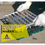ハラックス｜HARAX ロケット 6X6（36穴用）播種・仮植用穴あけ器 BR-6×6