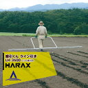 【全商品ポイント5倍】マラソン期間中アプリ上部バナーよりエントリー必須！ハラックス｜HARAX ＜4台set品＞播種資材 線引くん LH-3600 ピン6本付き(増減可) 播種時などに使用する畑の線引き