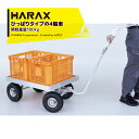 【2台セット品】 ●引いて移動するタイプの4輪車ですから重量物を積んだ時や悪路での走行など楽にできます。 ●自在に動く前輪の車軸にハンドルが直結していますから方向転換が楽におこなえます。 　また前輪は180度以上回転しますから急旋回も可能で狭い場所でも楽に移動できます。 ●ハンドルが折り畳みできますからコンパクトに収納できます。 　注）急な下り坂や傾斜地での走行は危険です。使用しないでください。 PJ-780-35T ・エアータイヤ（TR-3.50×4A） ・重量13.2kg ・積載重量100kg ・荷台有効長74cm（荷台全長さ78cm） ・荷台有効幅53cm（荷台全幅57cm） ・ハンドル折り畳み時寸法86.3×57.6×40.2cm ※沖縄・離島は別途中継料がかかります。 ※季節商品のため、在庫切れ及びお届けまでお時間いただく場合がございます。お急ぎの場合は在庫確認等お問い合わせください。　