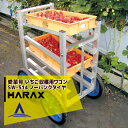 【5/1限定 最大ポイント6倍 エントリー必須】ハラックス|HARAX <4台set品>運搬車 愛菜号 いちご収穫用ワゴン SW-514 5段タイプ ノーパンク...