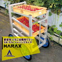 ハラックス｜HARAX 農業 運搬車 愛菜号 いちご収穫用ワゴン SW-514 5段タイプ ノーパンクタイヤ(14N)