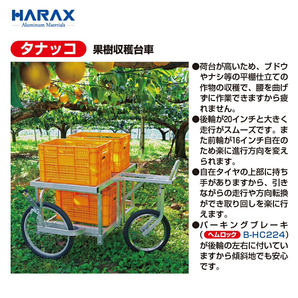 AZTEC 楽天市場店のハラックス｜＜4台セット品＞HARAX 農業用運搬車 果樹収穫台車 収穫器 タナッコ TC-956NB ノーパンクタイヤ｜アングル2