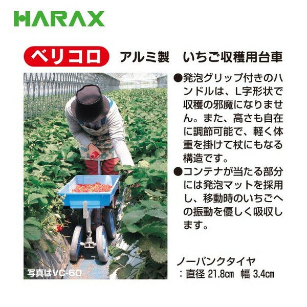 最大100%ポイントバック 確率2分の1！条件達成でチャンス最大5倍！要エントリー！...