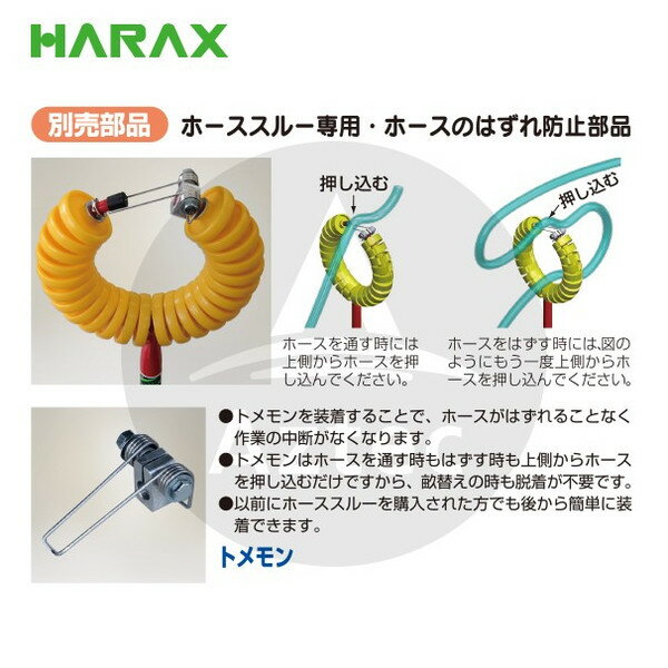 ����100%�ݥ���ȥХå� ��Ψ2ʬ��1�����ã���ǥ���󥹺���5�ܡ��ץ���ȥ꡼���ϥ�å�����HARAX �㥪�ץ�������ʡ�2�ĥ��å� �ȥ��� �ۡ��������� ���� R-TM �ۡ������롼���ѡ��ۡ����ΤϤ����ɻ�����