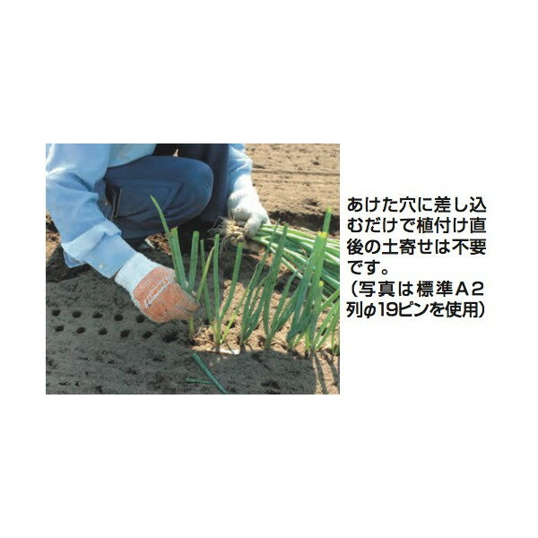 ����100%�ݥ���ȥХå� ��Ψ2ʬ��1�����ã���ǥ���󥹺���5�ܡ��ץ���ȥ꡼���ϥ�å�����HARAX ��4��set�ʡ�ͥ������å� ɸ��A2���39�ܡ�Ĺ�ͥ��꿢�ѷꤢ���� N-130K-A2