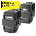Husqvarna|<2個セット品>ハスクバーナ Li-Ion リチウムイオンバッテリー 36V/9.4Ah BLi300 967071901