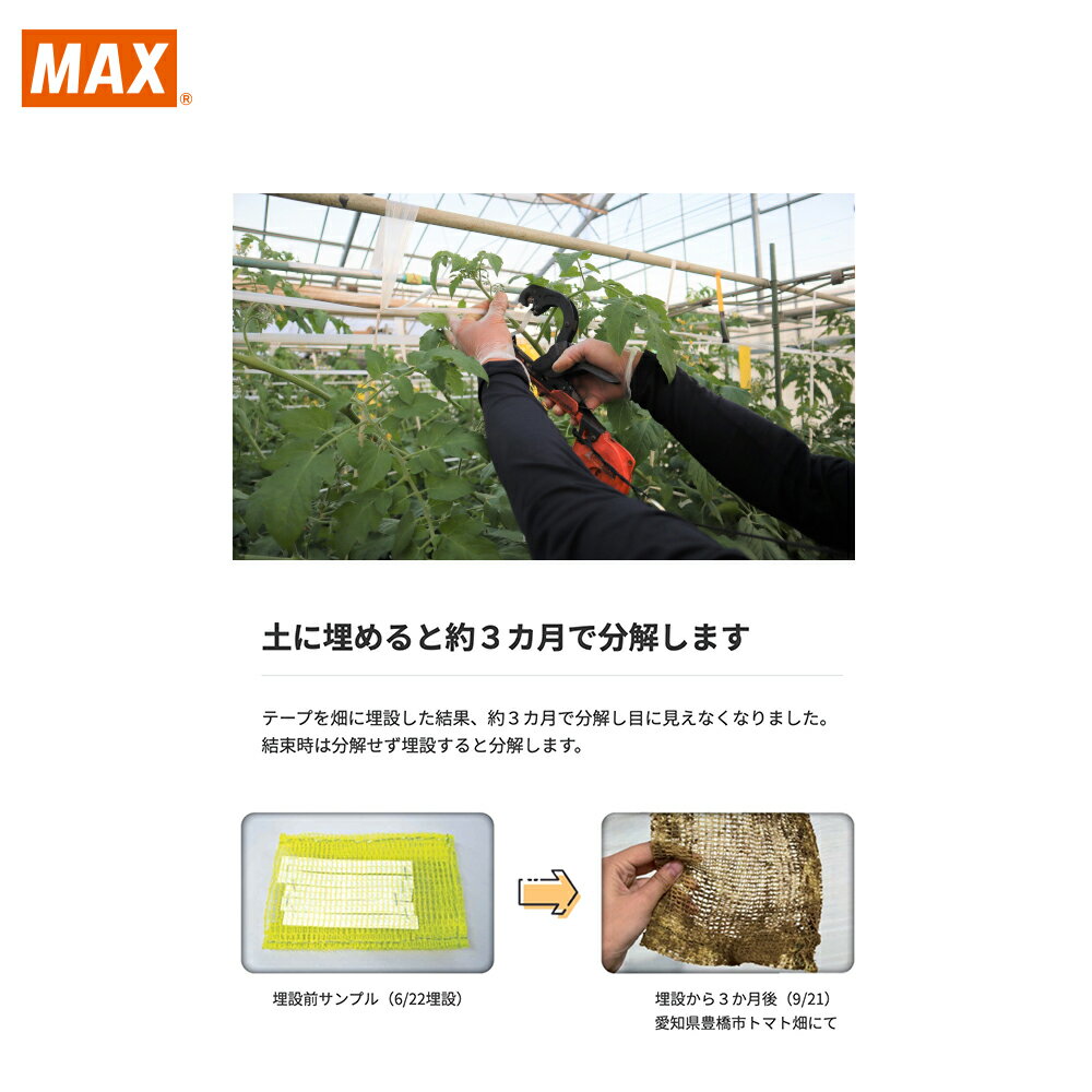 MAX�á�5Ȣ���å��ʡ�ޥå��� Ͷ����«���֥ơ��ץʡ����Ѿ����� TAPE-P13W 10�� ��ơ��� �ڤ��������3�����ʬ�򤷤ޤ�