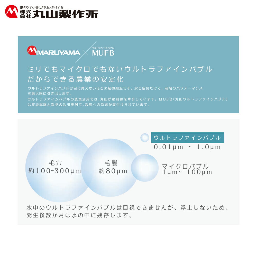 最大100%ポイントバック 確率2分の1！条件達成でチャンス最大5倍！要エントリー！...