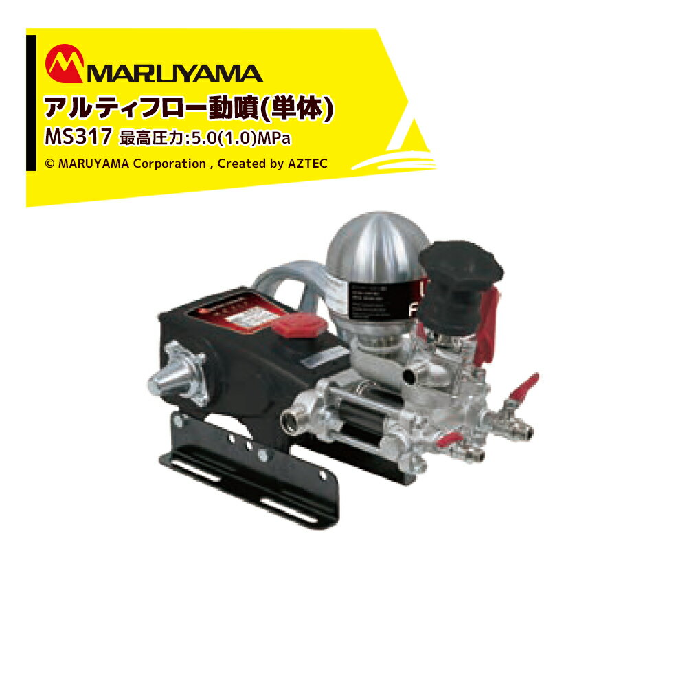 ݻ ƥեưʮ MS317 ǹⰵ5.0(1.0)Mpa ۿ 20~26(32)L/min