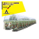 【5/1限定 最大ポイント6倍 エントリー必須】ナンエイ|南栄工業 <オプション>純正替ビニール 雨よけハウス 29型用 ビニールハウス 温室