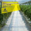 【11/1限定 最大ポイント6倍 エントリー必須】ダイオ化成|<2本セット>防草シート 50cm×100m巻 ダイオグランドシート‐S/黒 抗菌剤無し