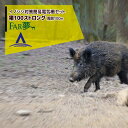 ファームエイジ イノシシ対策簡易電気柵セット 猪100ストロング 2段張り 周囲100m 出入口1箇所