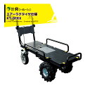 和コーポレーション|KAZ <+スピード調整キット>電動エコキャリア21 電動運搬車 KT-8FRX エアーラグタイヤ仕様 エネトラ4