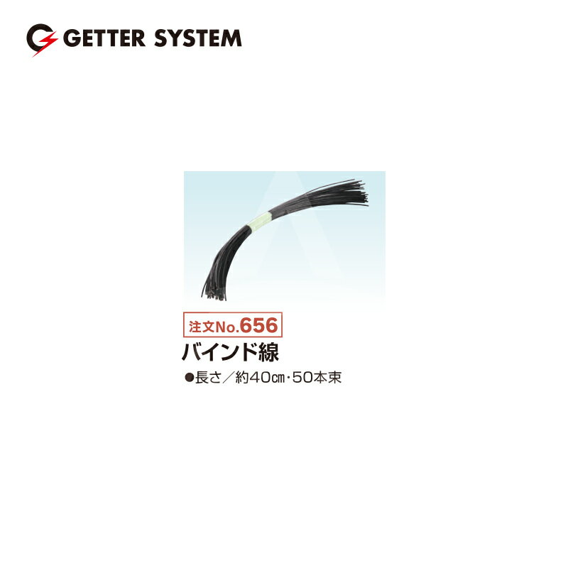 最大100%ポイントバック 確率2分の1！条件達成でチャンス最大5倍！要エントリー！...