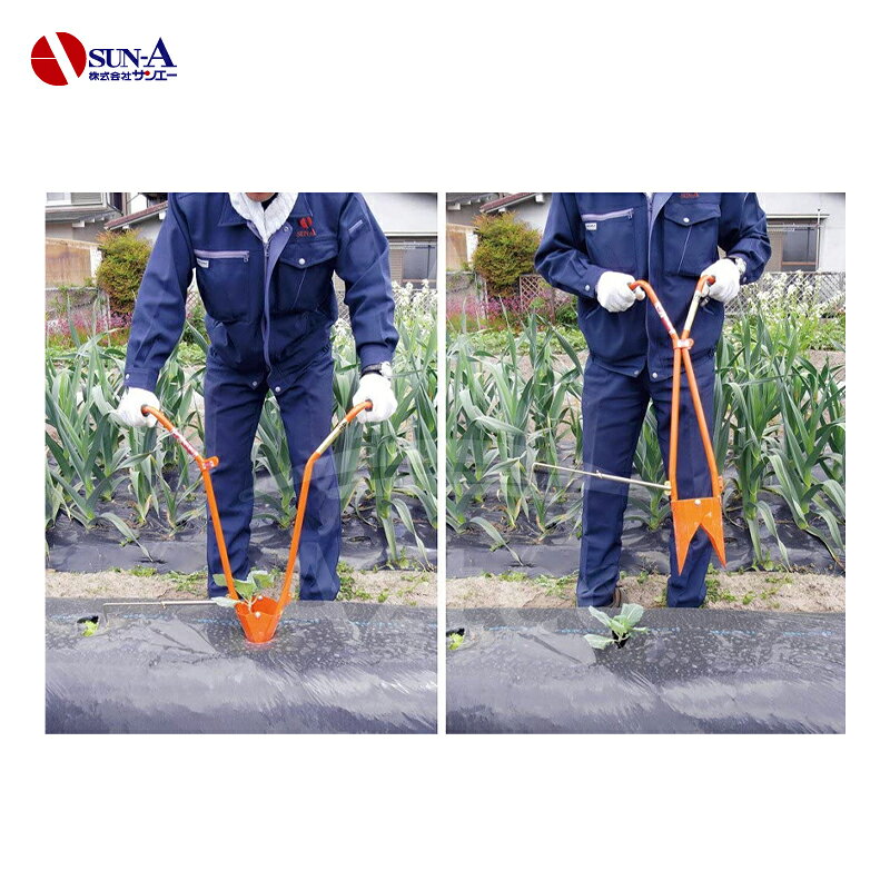 ����100%�ݥ���ȥХå� ��Ψ2ʬ��1�����ã���ǥ���󥹺���5�ܡ��ץ���ȥ꡼�����󥨡� ���ļ��ܿ����ꤢ���� �ۡ��顼 H70P �������7cm �ޥ����7cm ���翼��23cm ������ �ޥ���� ����ꤢ�� �꿢���ܿ���