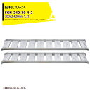 昭和ブリッジ アルミブリッジ SBA型 1.2t/2本セット 有効幅300x全長2,420 小型・中型・農業機械用 ゴムシュー・ホイール用 SBA-240-30...