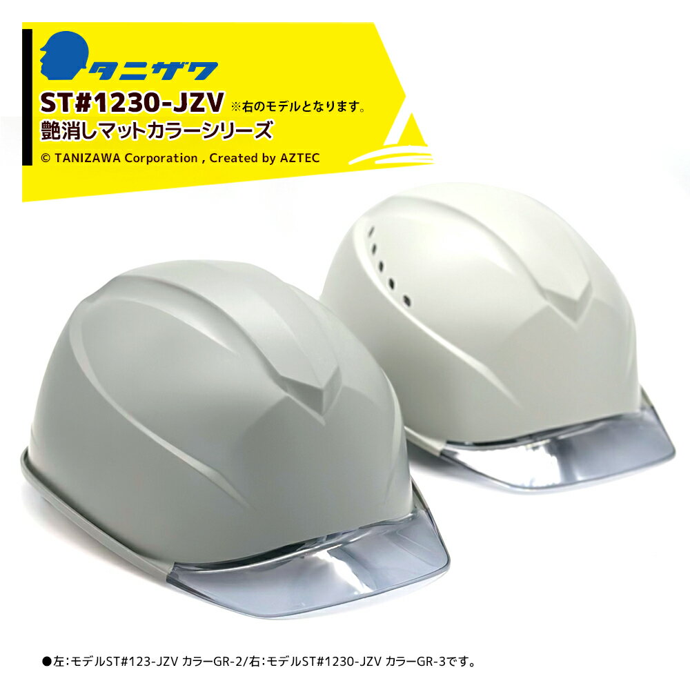 タニザワ｜＜艶消し マットカラー・1個セット＞保護帽 ヘルメット ST#1230-JZV V-2（EPA） 特別色仕様 つや消し