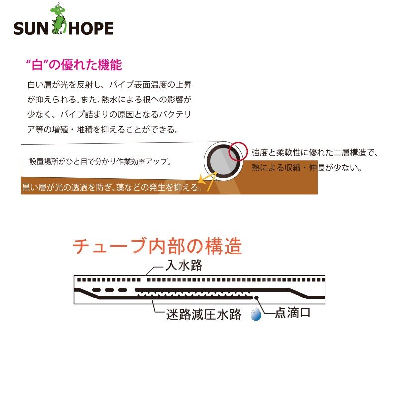 最大100%ポイントバック 確率2分の1！条件達成でチャンス最大5倍！要エントリー！...
