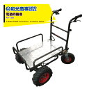 WAKO 和光商事 和光 電動四輪運搬車 PD-100 最大積載量250kg 最大速度5.0km/h 小型運搬車