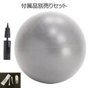 エクサボム 専用 ボール 単品買替用 付属セットエクサボム EXABOM EXA-BOM Exabomバランスボールチェア オフィスストレッチ エクササイズ バ...