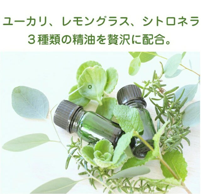 ������̵���۲���̵����6�ܥ��åȡ���������ŷ����ʬ�۹� ��褱�桼���� ���󥰥饹 ���ȥ��ͥ� �����۹�