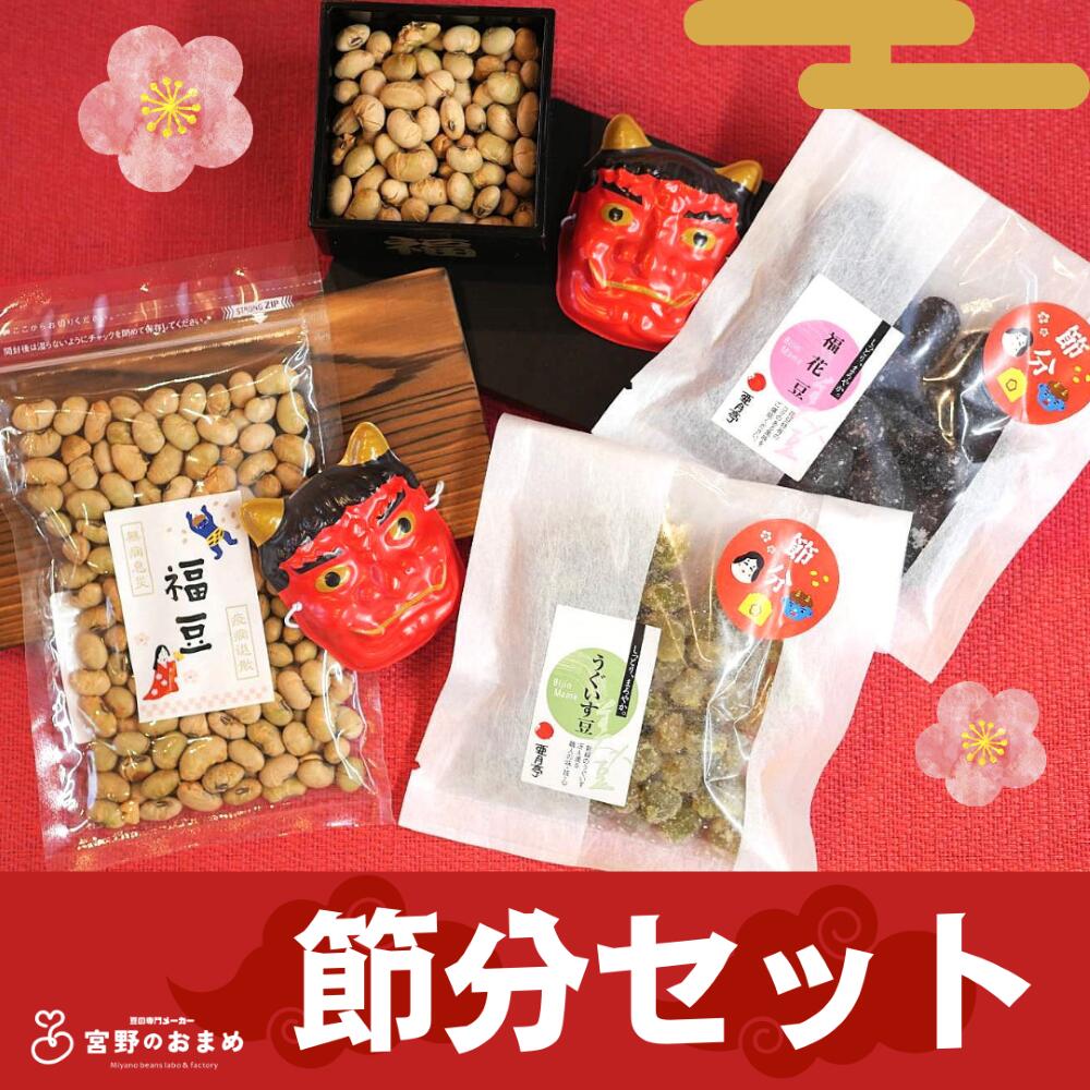 2月3日は節分 節分 豆まき セット 節分 豆 大豆 鬼退治 煎り 福豆 プレゼント 子供 親子 贈り物 ギフト お菓子 甘納豆 国産大豆 送料無料