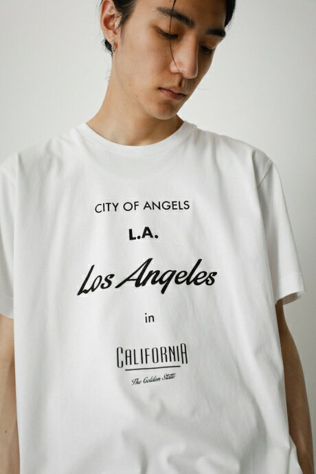 SHELTECH WEST COAST PHOTO TEE/シェルテックウエストコウストフォトTシャツ / AZUL BY MOUSSY/アズール バイ マウジー/メンズ/トップス カットソー