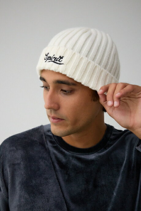 ロゴ刺繍リブニットワッチ / AZUL BY MOUSSY/アズール バイ マウジー/メンズ/ファッション小物 帽子【MARKDOWN】