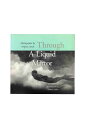 【中古】Through A Liquid MirrorWayne Levin