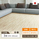 カーペット 3畳 防音 ヴィラ スミノエ (江戸間3畳/176×261cm) 防ダニ 床暖 ループ 日本製