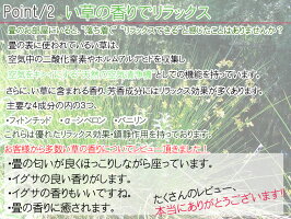 ★送料無料★腰痛用★「ソファー用畳」(1人掛け用・幅40〜45cm長さ40〜45cm)