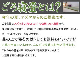 ★送料無料★「ごろ寝畳」(幅60cm長さ165cm)厚さ4cm腰痛ヘルニアごろ寝い草畳