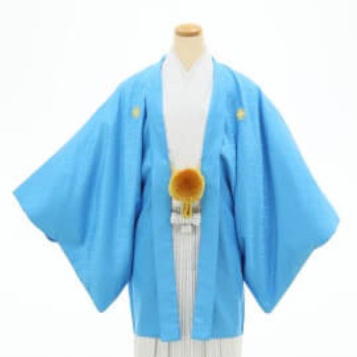 【男袴レンタル】 洒落工房あづま [MH-005] 男袴 セット シンプル柄 男性 メンズ 大人 大学生 高校生 成人式 卒業式 結婚式 青 色 男 袴 レンタル リサイクル メンズ スーツ [3泊4日]