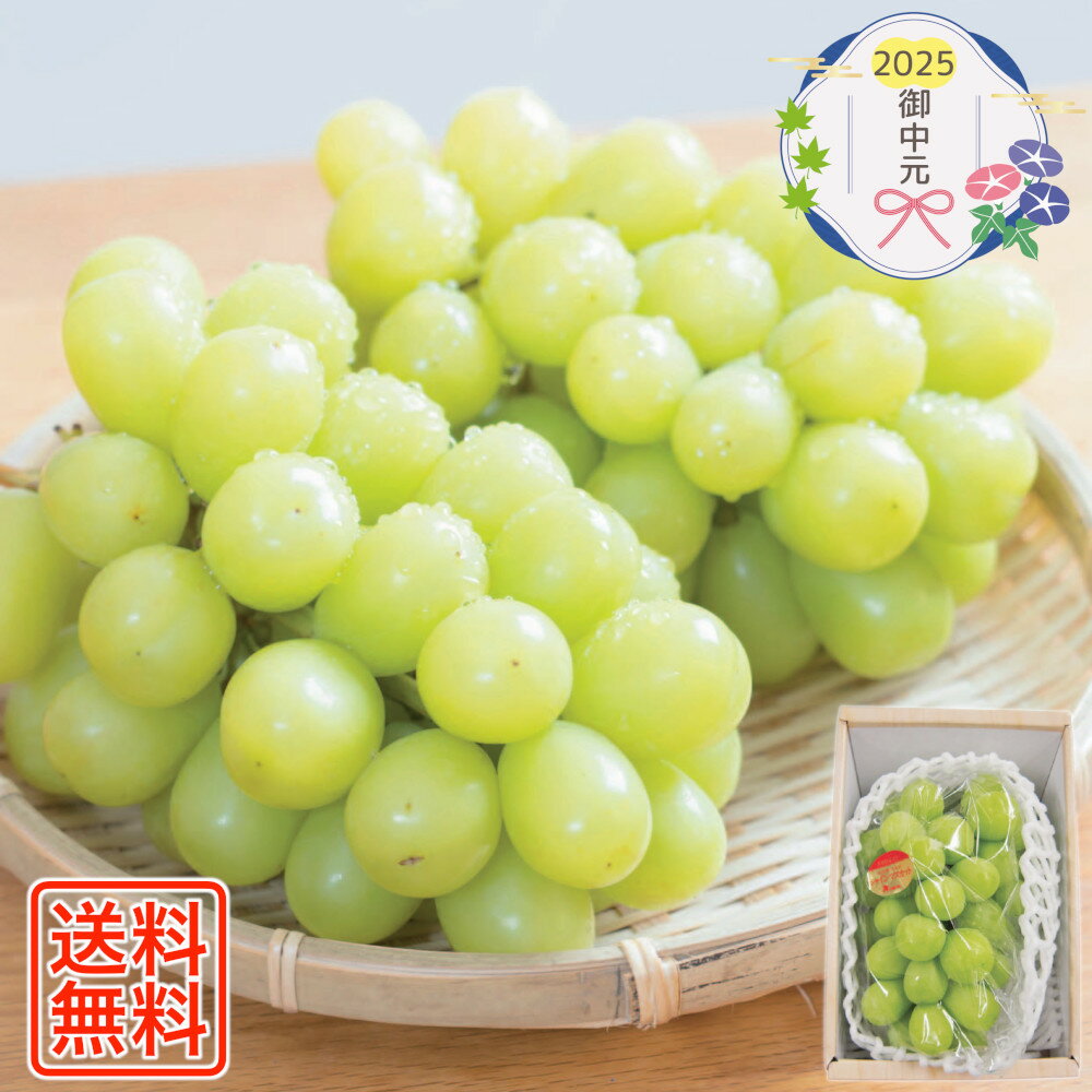 [615]JA香川県 シャインマスカット P15-6御中元 お中元 ギフト 贈り物 贈答 ご挨拶 お祝 お礼 お返し 内祝 プレゼント セット 詰め合わせ 人気 おすすめ 送料込み お取り寄せ カタログ 夏 2025のサムネイル