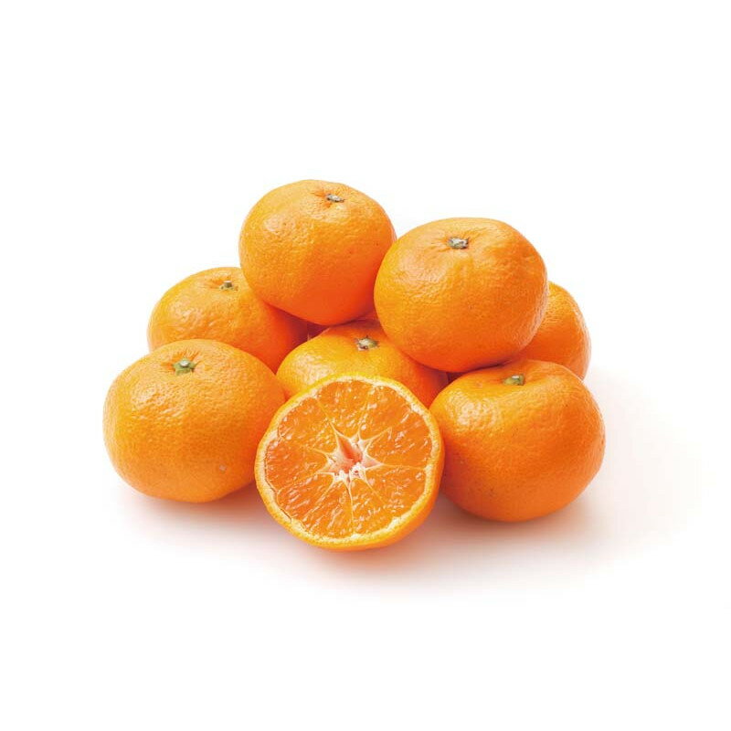 [515]わかやま情熱みかんグループ わかやま情熱みかん B13-6御歳暮 お歳暮 ギフト 贈り物 贈答 ご挨拶 ..