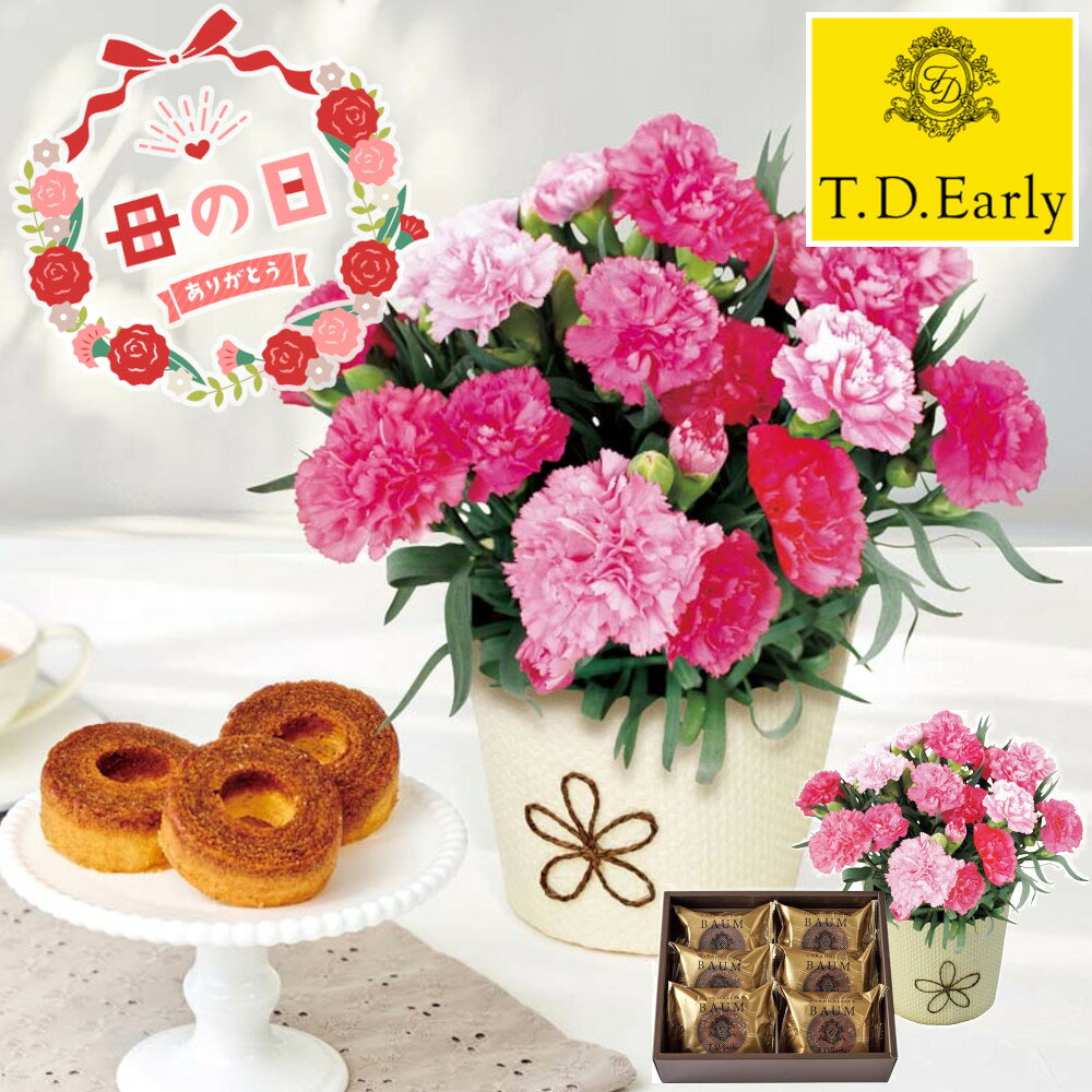 Rakuten - [81003]☆母の日ギフト☆カーネーション（ホットハート）とT.D.Early キャラメリゼバウム B40-1ギフト 贈り物 贈答 プレゼント 人気 おすすめ 送料無料 2026 母の日