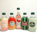 夏気分を味わえるかも?果物サイダー5本セット【第3弾】炭酸飲料/イベント/ジュース/サイダー/果物/くだもの/フルーツ/パーティー/集まり/プレゼント/ギフト/...