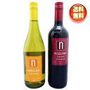 【送料無料!(北海道・沖縄は別途送料)】激旨安チリワインネブリナカベルネ・シャルドネ750ml 2本セット(クール便・代引き手数料別途) / 父の日