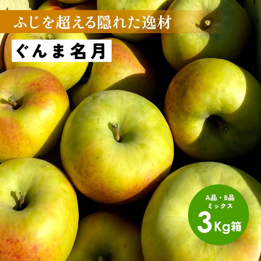 【15%オフクーポン配布中11月26日まで】追加11月11日から発送開始 このりんごを嫌いな人はいますか?「ぐんま名月3キロ箱A品B品」農林水産大臣賞 りんご 長野県産 安曇野 信州産 産地直送 3キロ 箱使用 果物 フルーツ 鮮度抜群 超希少品種 味抜群