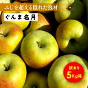 【15%オフクーポン9月1日10時から10日まで】11月5日から発送開始 このりんごを嫌いな人はいますか?「ぐんま名月5キロ箱訳あり品」農林水産大臣賞 りんご 長野県産 安曇野 信州産 産地直送 送料無料 5キロ 箱使用 果物 フルーツ 鮮度抜群 超希少品種 味抜群