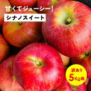 【15%オフクーポン9月1日10時から10日まで】10月15日から発送「シナノスイート5キロ箱訳あり品」リンゴ三兄弟 農林水産大臣賞 りんご 長野県産 安曇野 信州産 産地直送 送料無料 5キロ 箱使用 果物 フルーツ 鮮度抜群 希少品種 味抜群