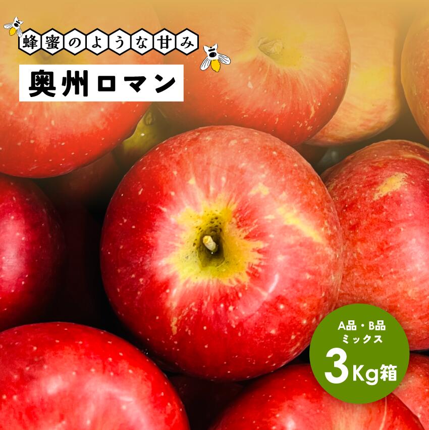 【10%オフクーポン配布中11月30日まで】他のりんごより高いです!蜂蜜のような甘み「奥州ロマン3キロ箱A品B品」 農林水産大臣賞 りんご 長野県産 安曇野 信州産 産地直送 送料無料 3キロ 箱使用 果物 フルーツ 鮮度抜群 超希少品種