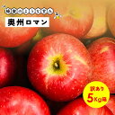【15%オフクーポン配布中11月10日まで】他のりんごに比べて高いです!幻の林檎 蜂蜜のような甘み 見た目かなり悪いです!「奥州ロマン5キロ箱訳あり品」農林水産大臣賞 りんご 長野県産 安曇野 信州産 産地直送 送料無料 5キロ 箱使用 果物 フルーツ 超希少品種 訳あり